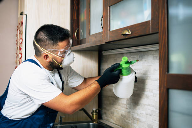 Best Bed Bug Extermination  in Woodland Park, CO