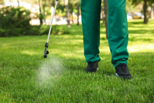 Best Wasp Removal Services  in Woodland Park, CO
