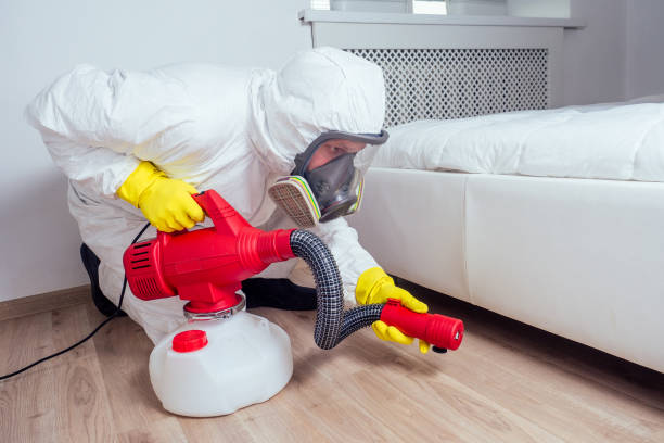 Best Residential Pest Control  in Woodland Park, CO